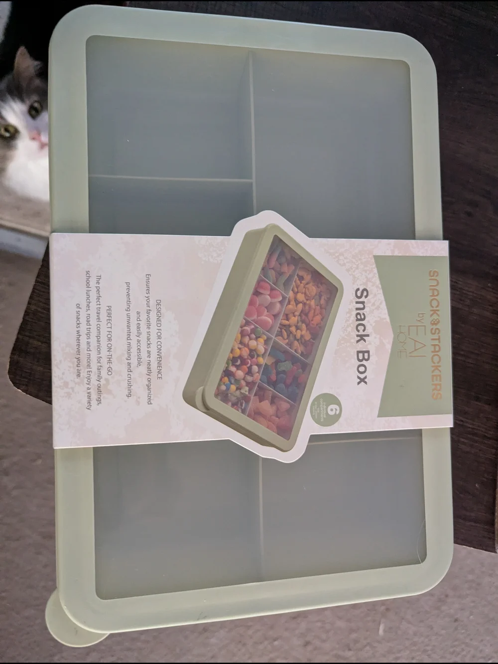 Snack Box 6-Compartment Organizer